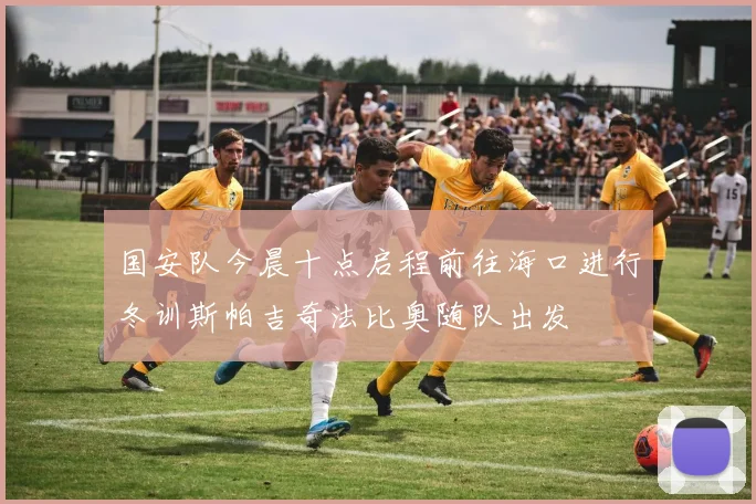 国安队今晨十点启程前往海口进行冬训斯帕吉奇法比奥随队出发